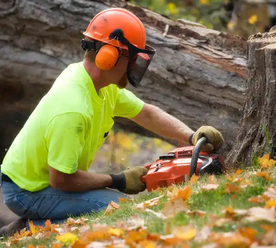 tree services Trappe